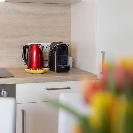 Der Hochkoenigblick Διαμέρισμα